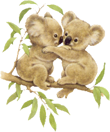 two baby koalas 